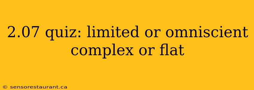 2.07 quiz: limited or omniscient complex or flat