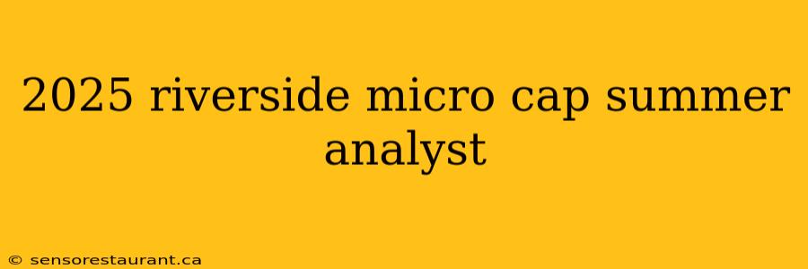 2025 riverside micro cap summer analyst