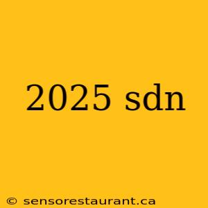 2025 sdn