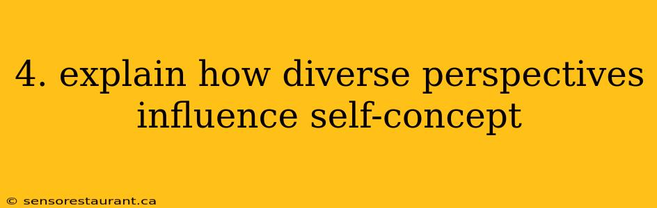 4. explain how diverse perspectives influence self-concept