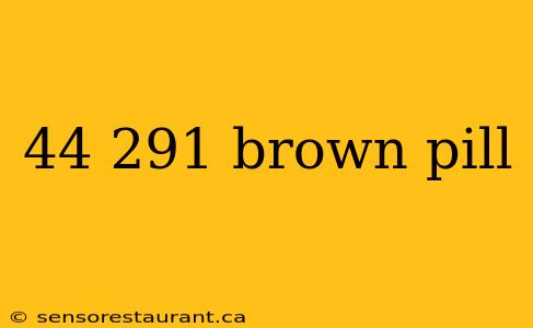 44 291 brown pill