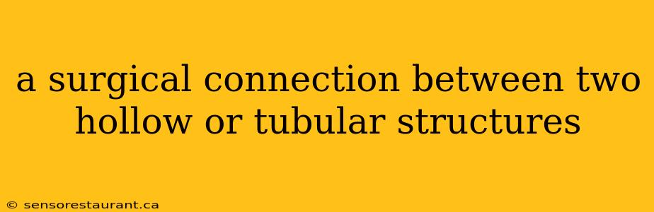 a surgical connection between two hollow or tubular structures