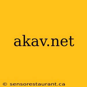 akav.net