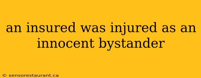 an insured was injured as an innocent bystander