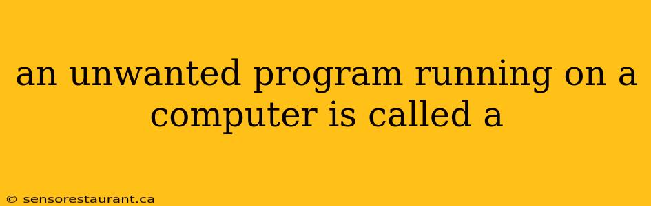 an unwanted program running on a computer is called a