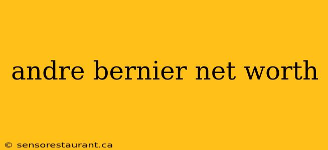 andre bernier net worth