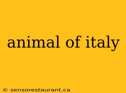 animal of italy