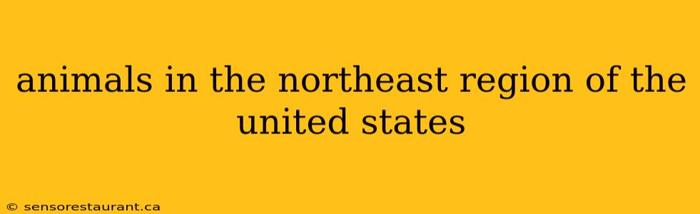 animals in the northeast region of the united states