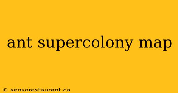 ant supercolony map