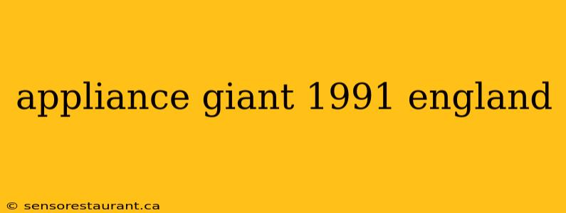 appliance giant 1991 england