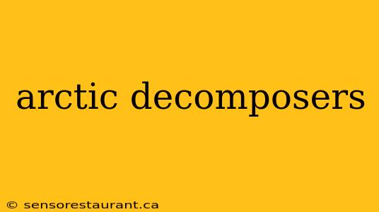 arctic decomposers