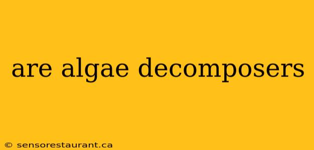 are algae decomposers