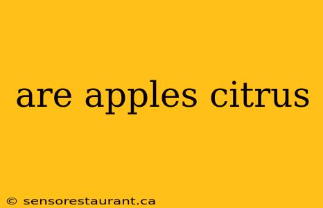 are apples citrus