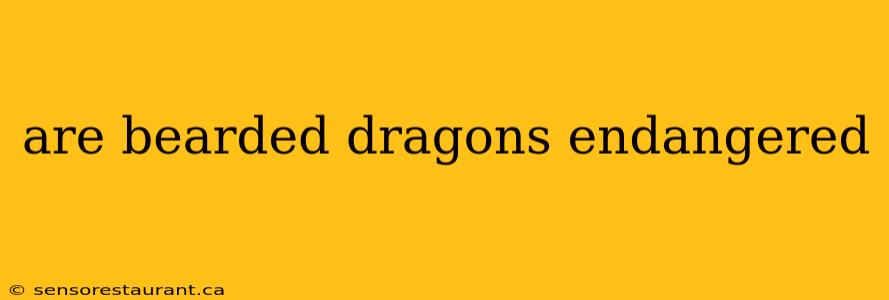 are bearded dragons endangered