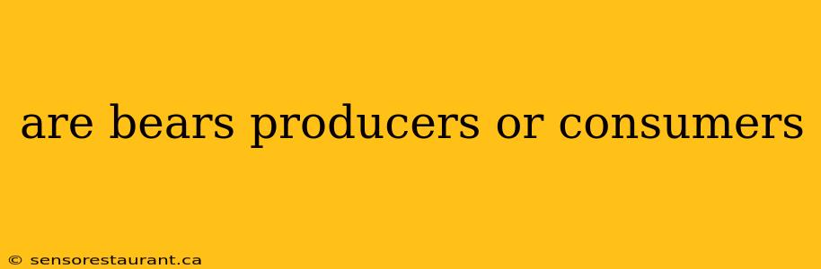 are bears producers or consumers