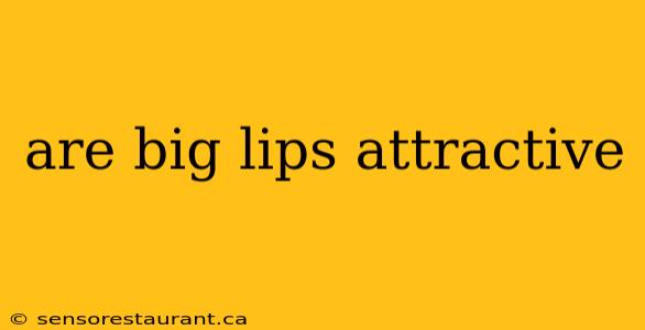 are big lips attractive