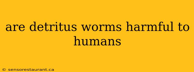 are detritus worms harmful to humans