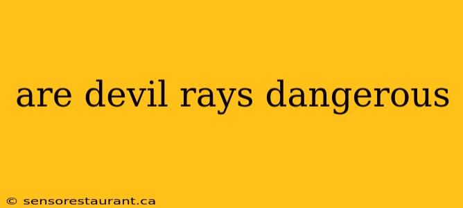 are devil rays dangerous