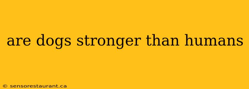 are dogs stronger than humans