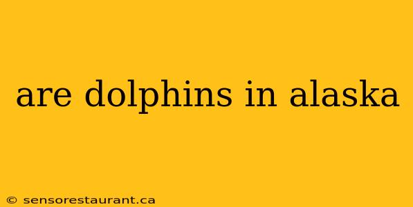 are dolphins in alaska