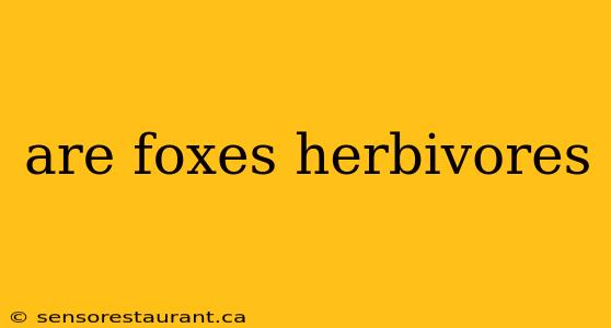 are foxes herbivores