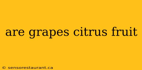 are grapes citrus fruit