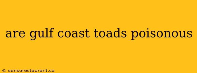 are gulf coast toads poisonous