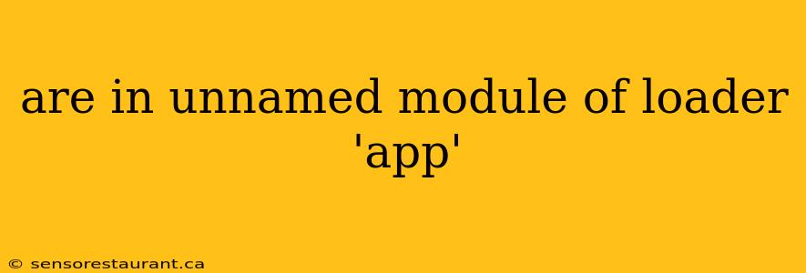 are in unnamed module of loader 'app'