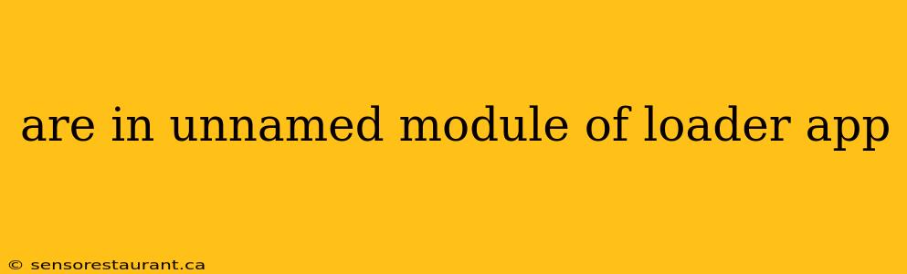 are in unnamed module of loader app