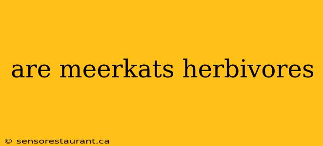 are meerkats herbivores