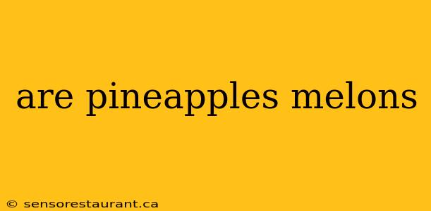 are pineapples melons