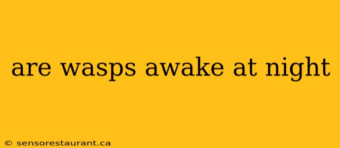 are wasps awake at night