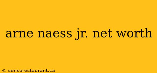 arne naess jr. net worth