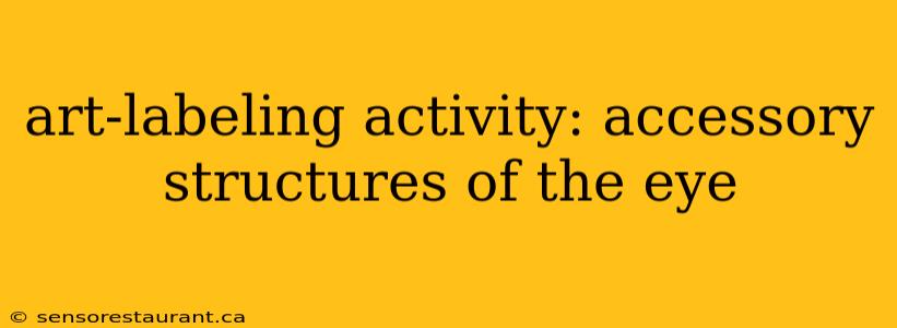 art-labeling activity: accessory structures of the eye