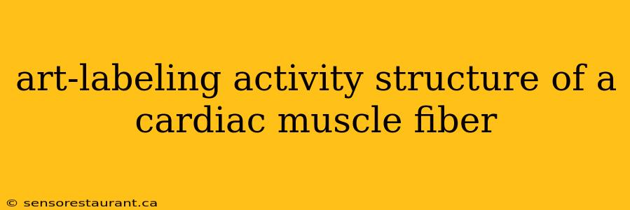 art-labeling activity structure of a cardiac muscle fiber