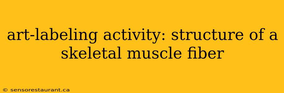 art-labeling activity: structure of a skeletal muscle fiber