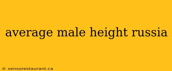 average male height russia