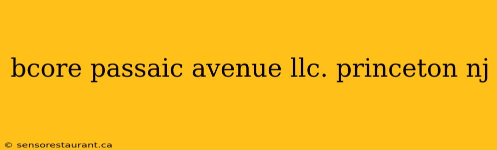 bcore passaic avenue llc. princeton nj