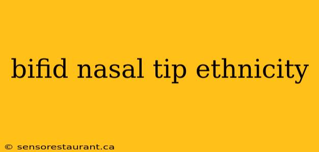 bifid nasal tip ethnicity