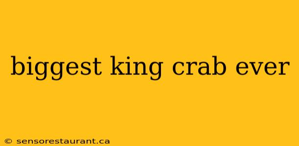 biggest king crab ever