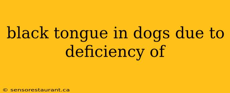 black tongue in dogs due to deficiency of