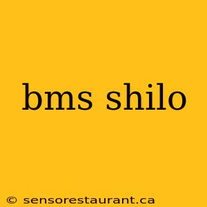 bms shilo