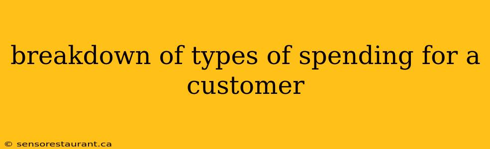 breakdown of types of spending for a customer