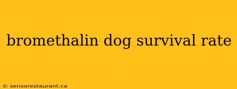 bromethalin dog survival rate