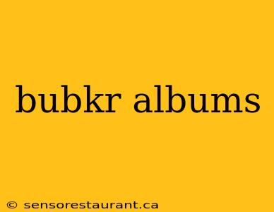 bubkr albums