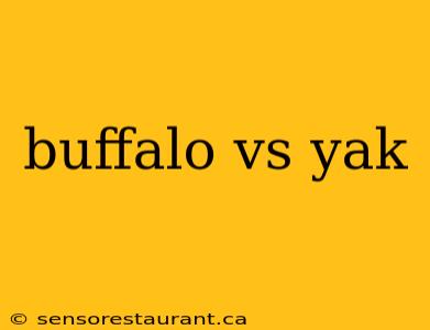 buffalo vs yak