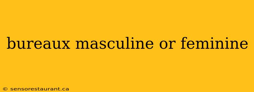 bureaux masculine or feminine