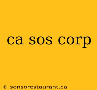 ca sos corp