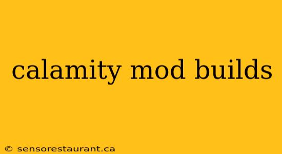 calamity mod builds