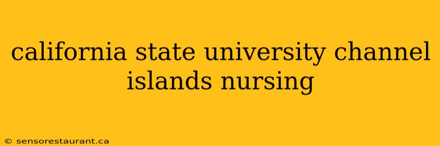 california state university channel islands nursing